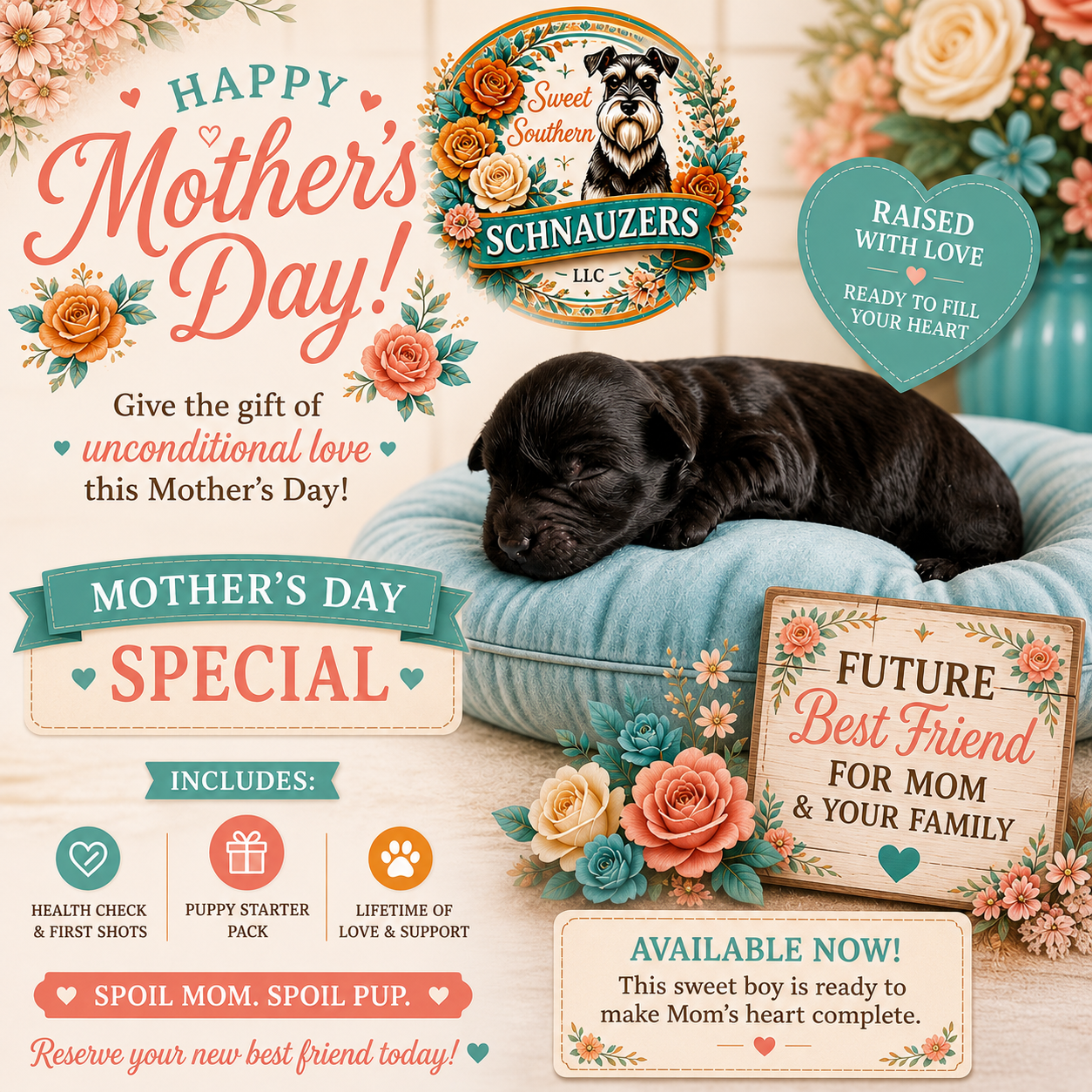 Happy Mother's Day Special: includes health check and first shots, puppy starter pack, and lifetime of love and support.