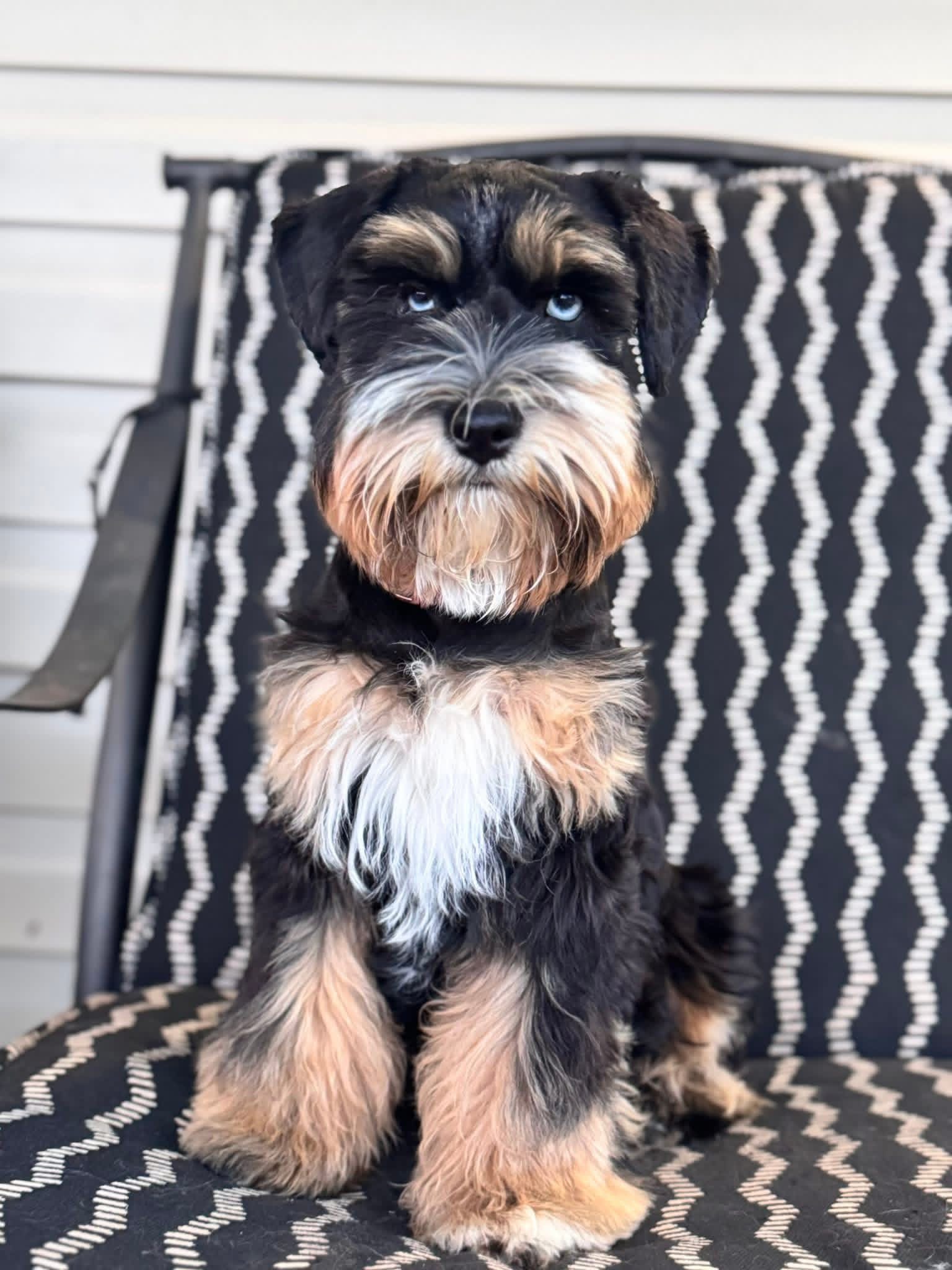 Lilly