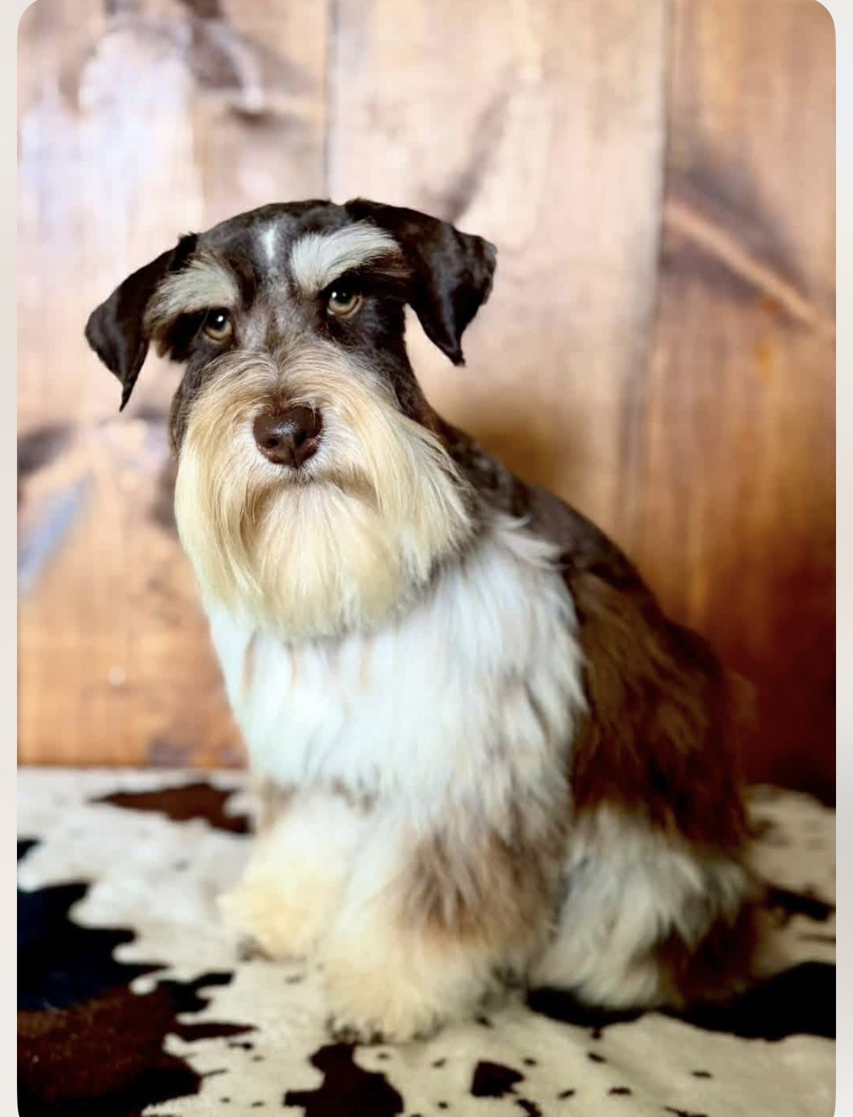 Theodore
